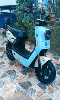 دراجة شحن • حله • واتساب