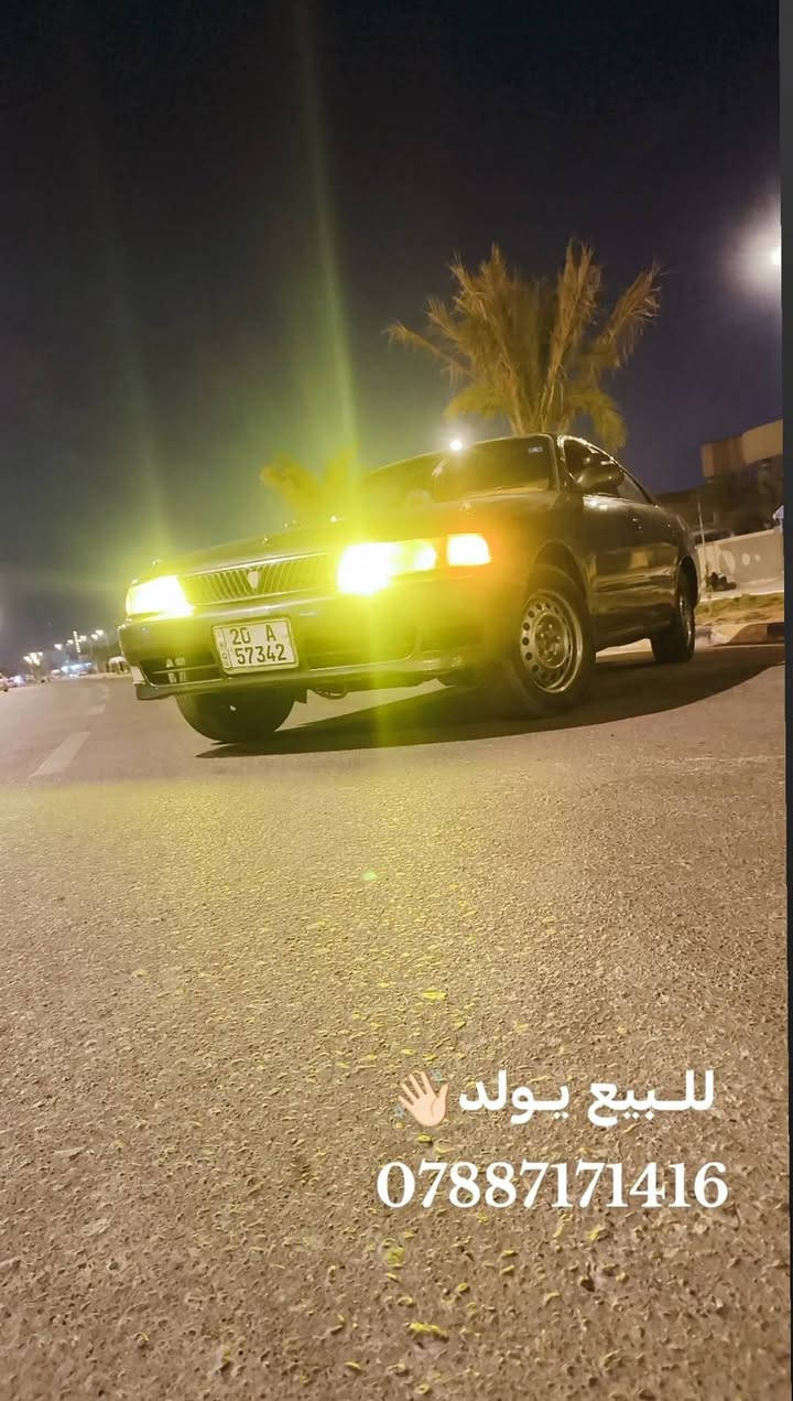 شيزر • نفخ • كفالة