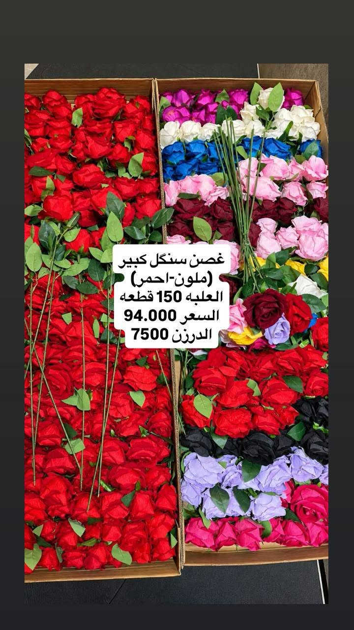 غصن سنكل • ملون • أحمر