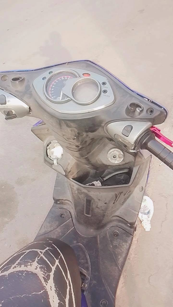 سكنس فحل • كاملة • سلف