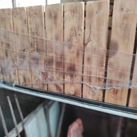 ميوزه امامية للبيع سعر لواحد 20 الف للتواصل 07724526446 واتساب