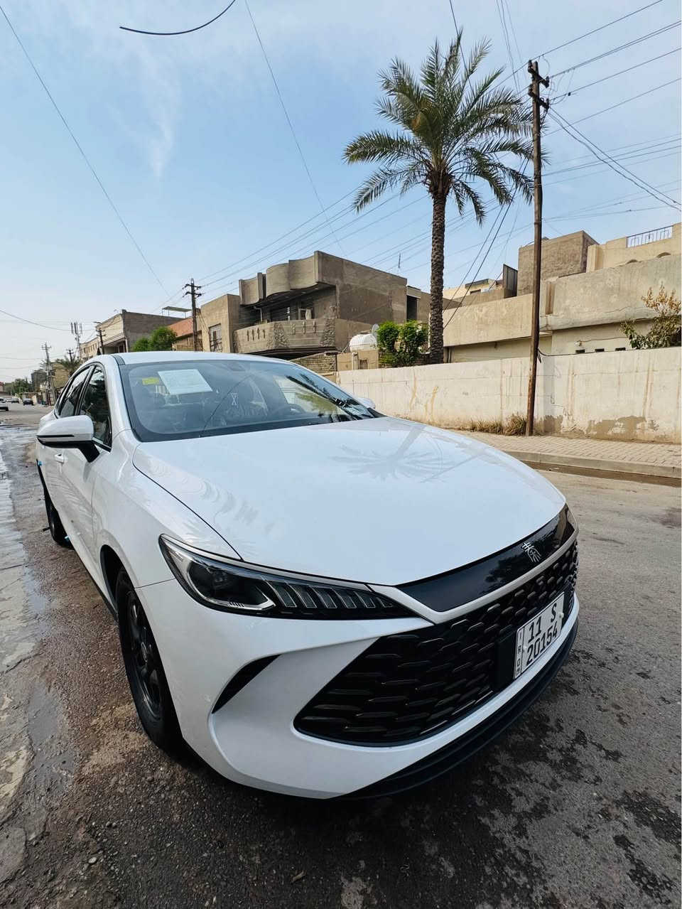 داخل زيتوني • جلد • ٢٠٢٥