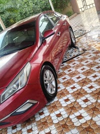 سوناته • ٢٠١٦ • وارد امريكي