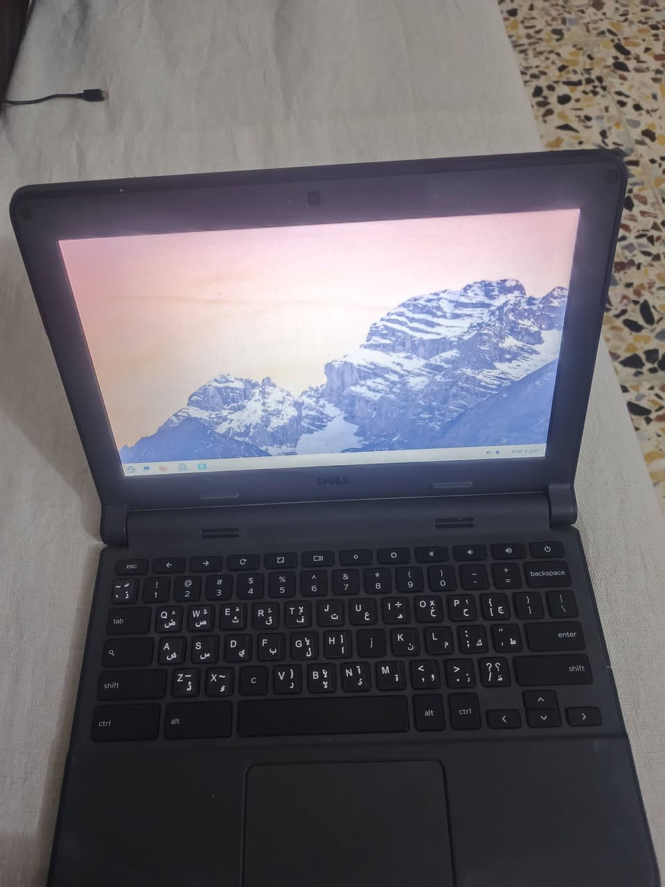 ديل كروم جهاز نضافه 95 بل ميه يتنصب عليه أي وندوز تريد وينضافله ذاكره خارجيه ويا شاحنه وجنطه قيم واخذ مكاني أبو غريب واتساب ***********
