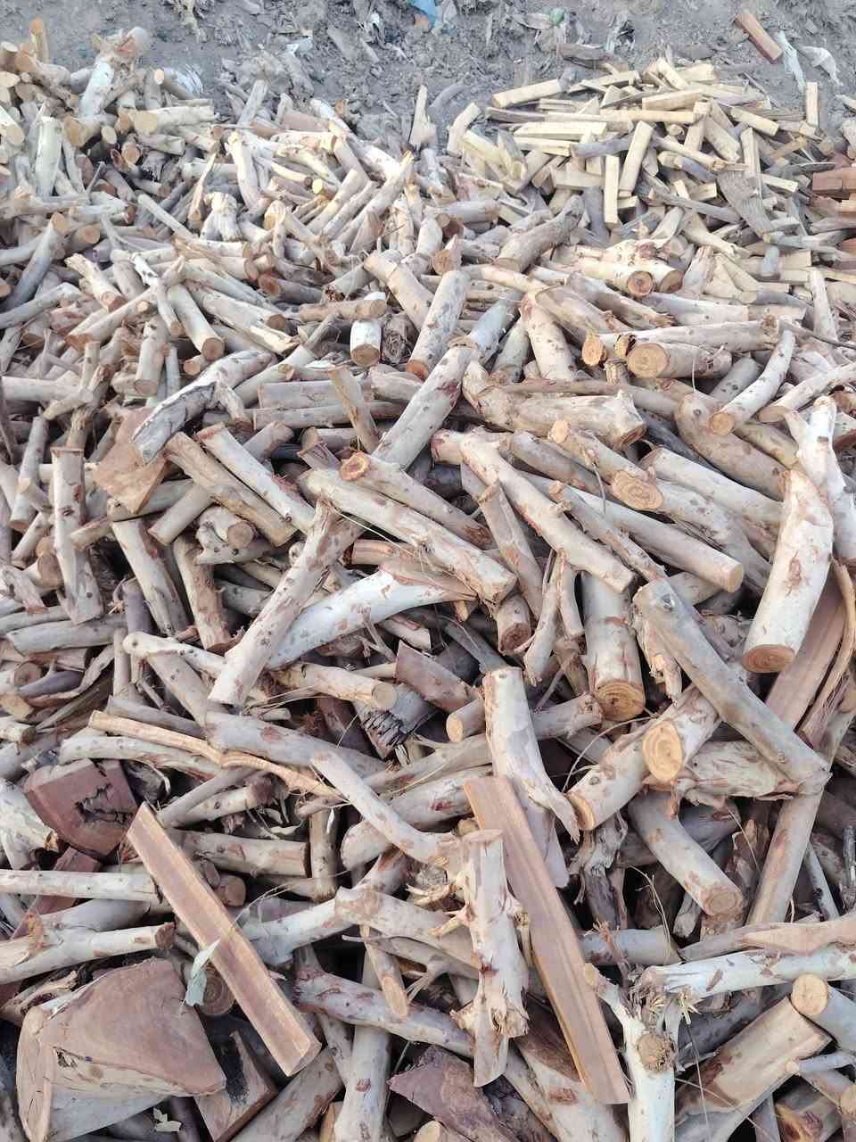 السلام عليكم يوجد جميع الحطب المشرح سمك دجاج واي كميه اكدر اوفره التواصل ***********./*********** ويوجد وتساب@
