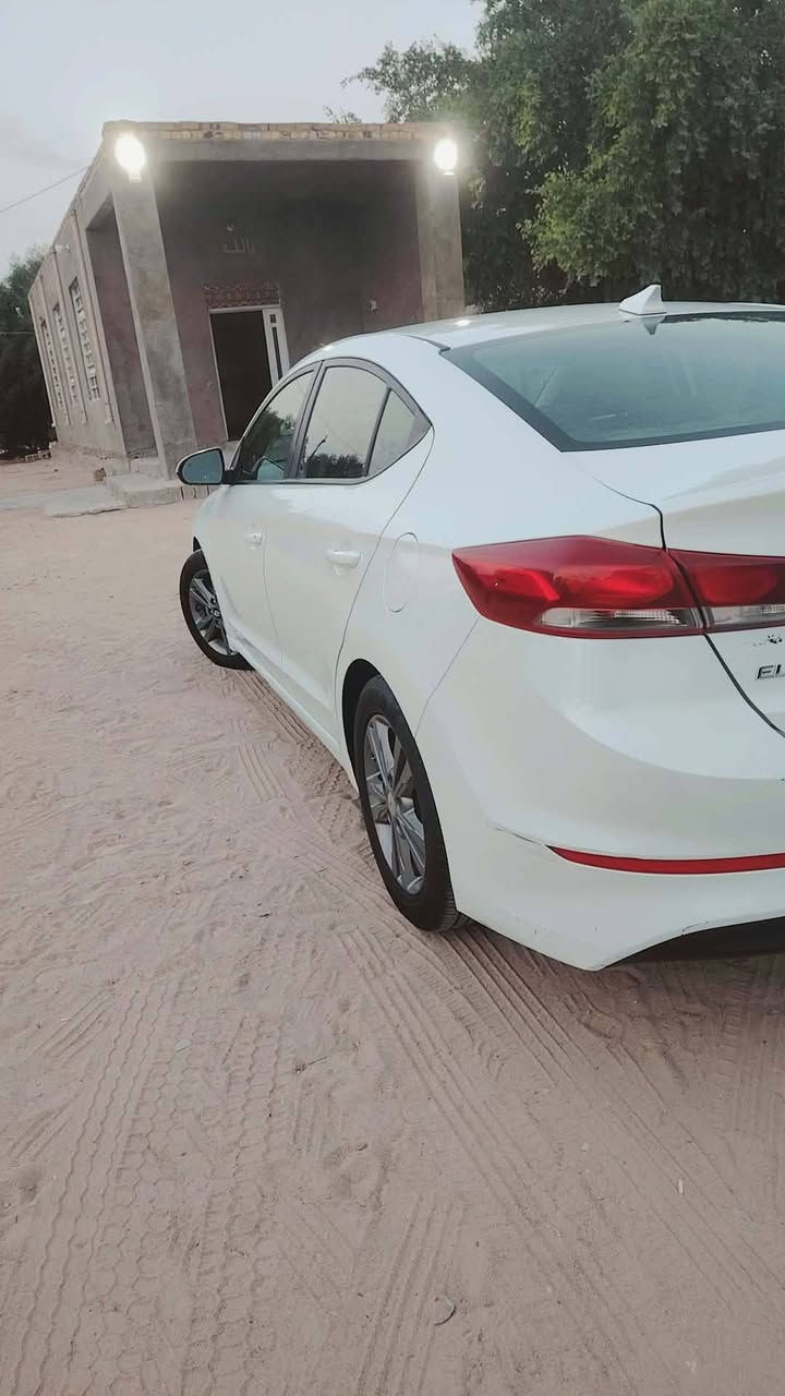 النترا • ٢٠١٨ • كفاله عامه
