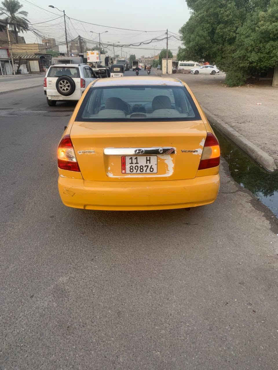 فيرنا • ٢٠١٥ • مرشوش