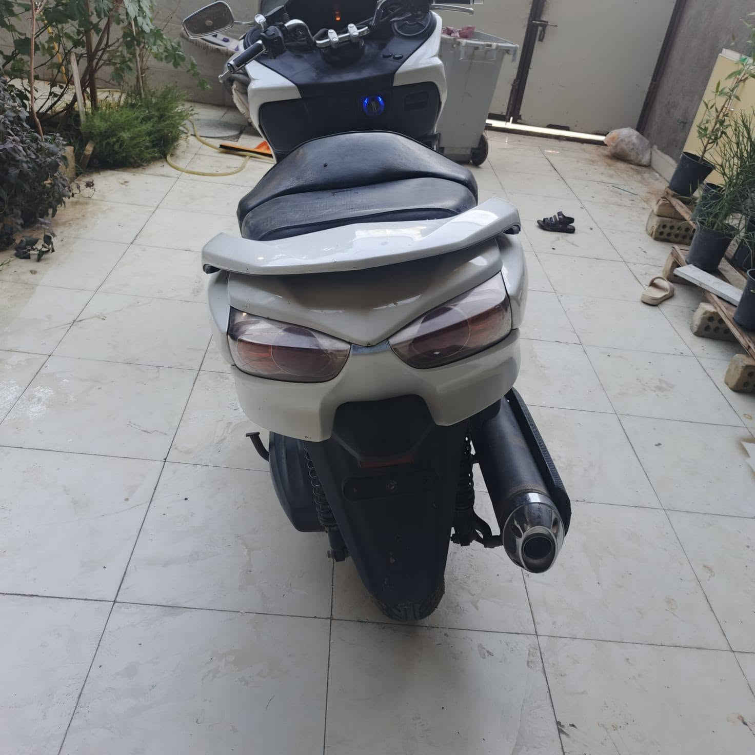 فورزا • بصمة • نضيفه