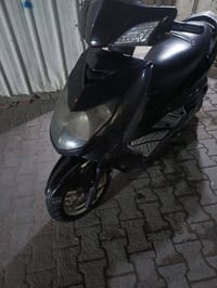 سنكس فحل نوزل خطين طلاعات بلاديه  للبيع او مراوس عنوان بغداد ساحت عدن ...