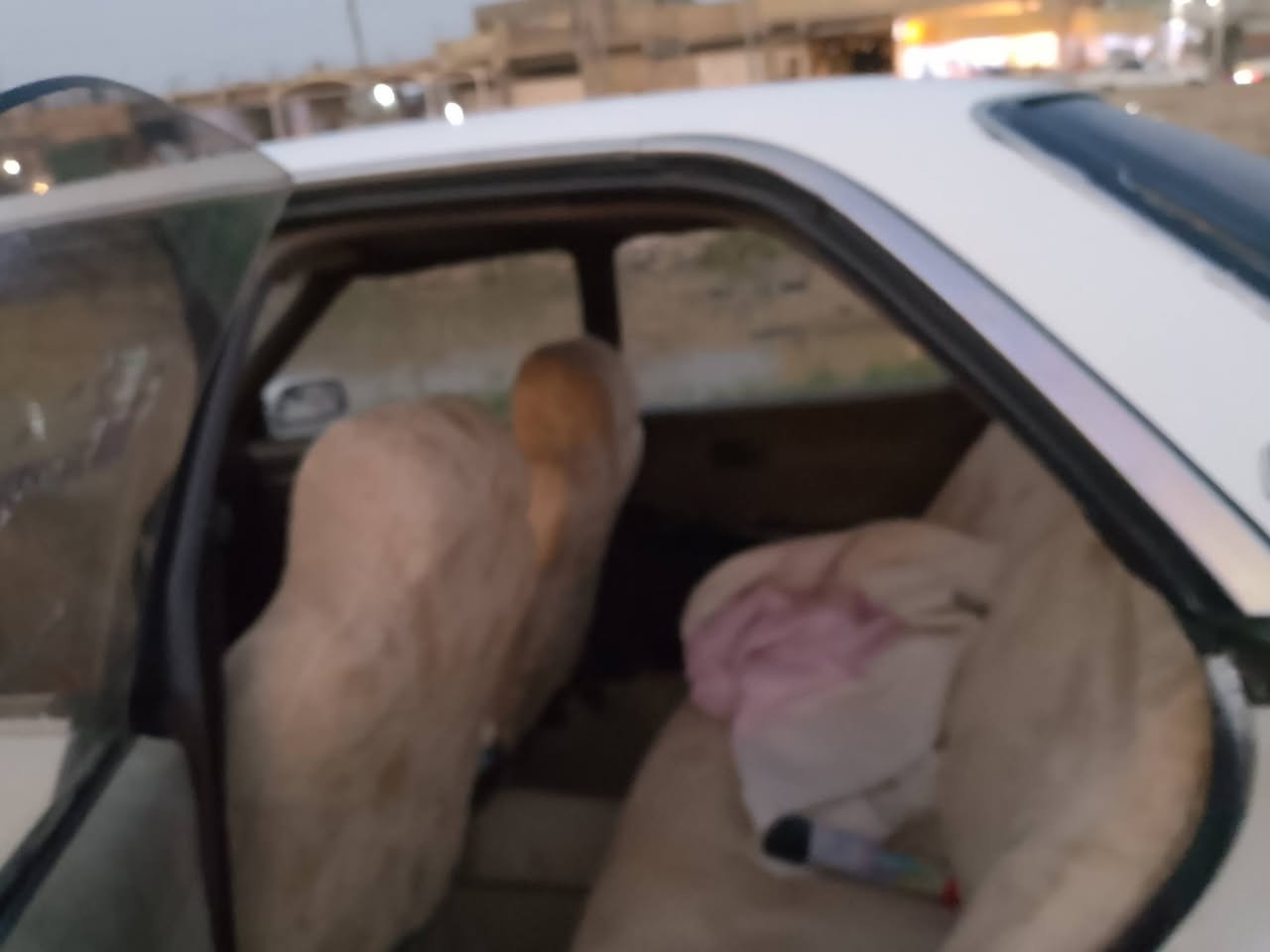 سلام عليكم مارك البيع 92 مكفوله كص ونقل وعيوب الشرعيه كير محرك كفاله شرط تريك 180كرهبايات كله شقاله حدايه 100بل 100 مشروع وطني سنويه 29  العنوان شطره *********** سعر 37 وبيه مجال
