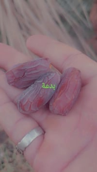 فسائل نخيل • الفدك • سوق الشيوخ