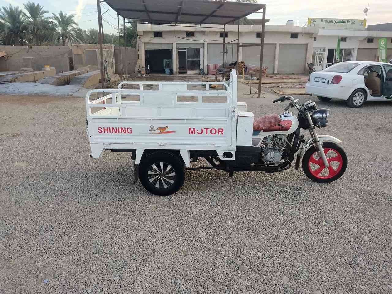ستوتة • موديل ١٦ • نظيفة