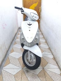 ماكس • جديده • سلف
