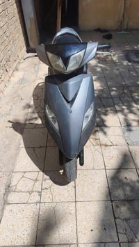 ثعلب • بها مجال