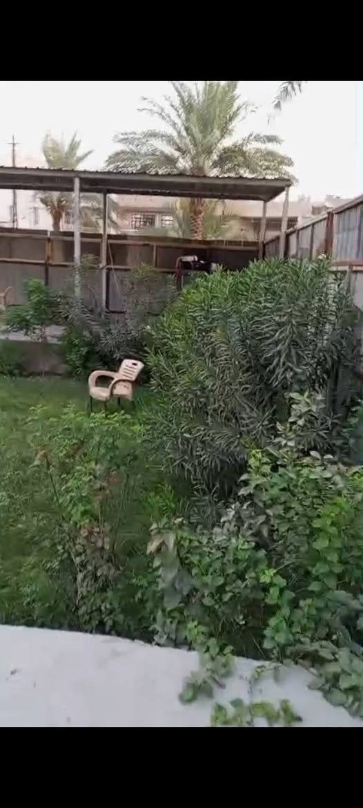 سلام وعليكم بيت مع عماره لبيع.
البيت ٣طابق معزول الجوه عن الفوك مساحة 130وتشجير ٣٠٠متر مسيجه ويه البيت شغل درج أوله
والعمار مساحه ٧٠متر تحتوي علا قشق عدد 2
و3محلات مجرات العماره ايجاره 1500
ولبيت ايجاره 1500تجاري علا شارعين يبعد عن شارع العام 400متر موقع حلو رقم صاحب البيت *********** موقع الثعالب شارع البانزيخانه
