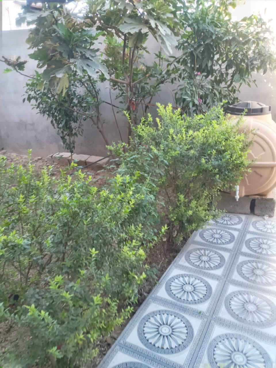 بيت مساحته 180 اوراقها بلديه تطويب صاله مطبخ غرفه نوم 5ب4 استقبال 7ب4 مطبخ 4ب4 البيت كله بورسلبن حد الباب المنطقة تبليط مجاري خدمات بهرز شارع الدفاعي الدواسر‏‪***********‬‏
