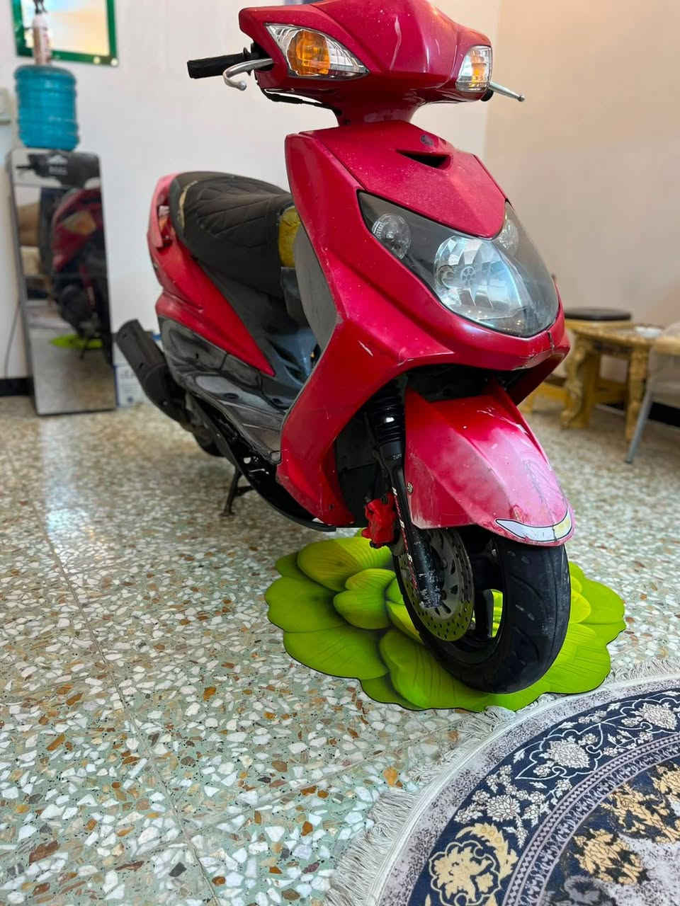 سكنس فحل • جديدة • كابريتر