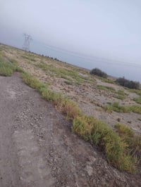 أرض زراعية • ١٣ دونم • طابو سند ٢٥