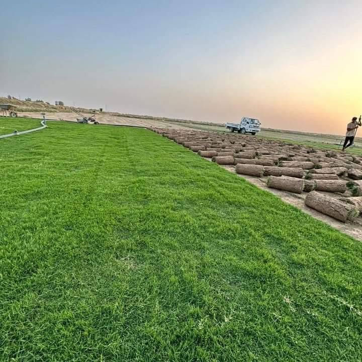 🌳 ثيل طبيعي من أجود الأنواع.. خضرة تدوم وأناقة تبهج! 🌳
مناسب للاستخدام في:
🏡 المنازل | 🌿 الحدائق | ⚽ الملاعب | 🏢 الدوائر | 🏗️ المشاريع الاستثمارية

🟢 أنواع متوفرة لدينا:
فرنسي – إيطالي – أمريكي – هندي – إسباني – إنكليزي
💚 نوعيات ممتازة بأسعار مناسبة جداً
📦 وقابل للتفاوض للكميات الكبيرة

✅ تجهيز كميات كبيرة للمشاتل والملاعب
✅ كادر متخصص بالزراعة والتركيب السليم
✅ نوصل لك لباب البيت، بأسرع وقت!
***********
📞 للحجز أو الاست
#ثيل_طبيعي #خضرة_دائمة #زراعة_ثيل #ملاعب #مشاتل #أسعار_تنافسية

نص مكتوب في الصور:
- فرنسي