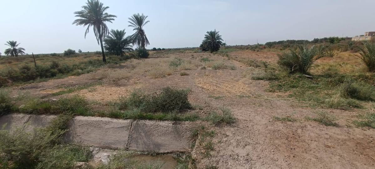ال عواد الرعده • ١٦٠٠م • زراعيه