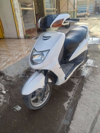 سكنس نثيه • دبلات جدد • فول