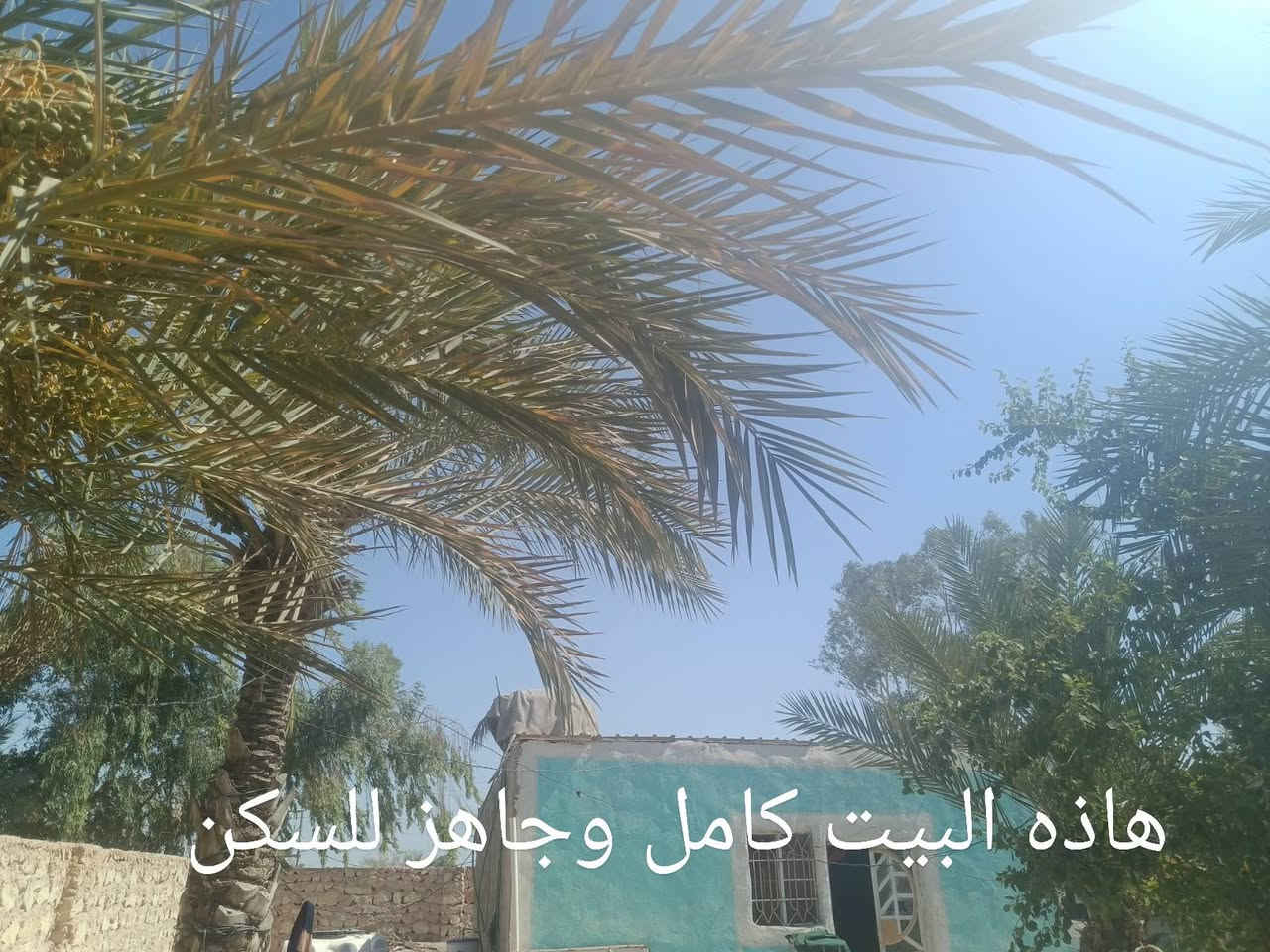 بيت للبيع مساحتة 700متر جاهز للسكن ومناسب العنوان شارع كربلاء عمود 170 طريق ياعلي مشمول بالتطويب كل الخدمات بي ماء كهرباء ابابك الرقم الاستفسار *********** بي واتساب
