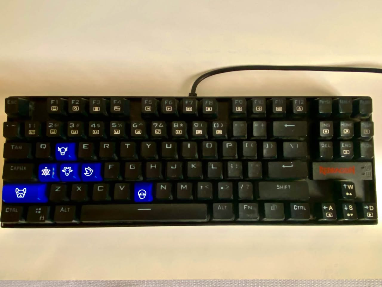 ️ سلام عليكم للبيع شلع شاشة SAMSUNG 24 حجم — 75Hz
💾 NVMe SSD KingSpec — 500GB

💾 SSD HIKVISION — 128GB

⌨️ REDRAGON K552-88-2

🖱️ Mouse Attack Shark R1
Wired + 2.4G + BT 5.2 Connections

📍 المكان: بغداد، الكمالية
📞 للاستفسار: ***********
