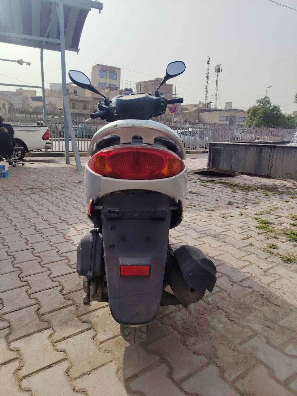 بريز ببغاء • فضي • مامفتوح