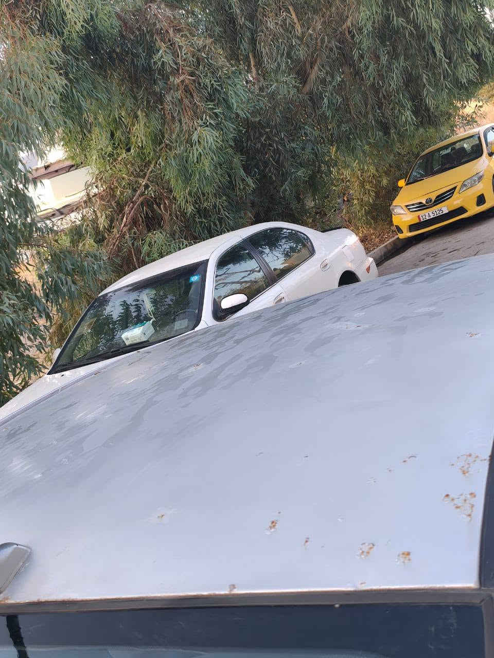 السلام عليكم للبيع نقد فقط اقساط مااا ابيع نقد فقط
السعر 75$ بيها مجال شي قليل 
كيا برايد2008 فوووول مواصفات اعلى فئة 

🔹كشنات جلد داخل اسود 
🔹هيتر بالكشن
🔹مري شفط
🔹ويل كب
🔹حساسات خلفية
🔹تحكمات 
🔹لاقطة اتصال
🔹اعلى مواصفات فوول 
🔹تبريدها ثلج 
رقم نينوى نكليزي  سنوية جديدة باسمي اني الشرعي 
سياره ضررها مال تحرير /بدون دواخل 
جاملغات الوره والسقف واكع عليه حصو  
موضح بصوره 

للاستفسار ...***********
