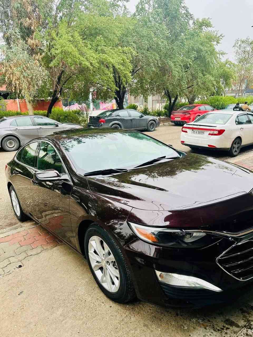 للبيع ماليبو 2020 فول موصفات بانورما بصمه شغال فول سنويه رقم كله جديد بسمي شرط التحويل بي قطعتين بونيد صبغ او جاملغ خلفي صبغ سونر جديد
سعر ١١٥ بي مجال شويه شراي خابر ماجاوب خاص 
***********
للبيع ماليبو 2020 فول موصفات بانورما بصمه شغال فول سنويه رقم كله جديد بسمي شرط التحويل بي قطعتين بونيد صبغ او جاملغ خلفي صبغ سونر جديد
