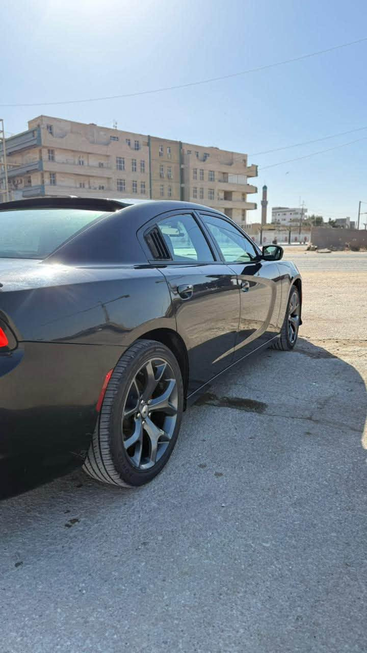 جارجر sxt 2019
اللون اسود قطعه واحده تبديل بنيد اثر حالوب 

سياره كامله الباقي مكفول من كير مكينه وباقي التفاصل 

عدد الرصعات 35 فقط  بسمي رقم اربيل 

الديوانيه للاستفسار اكثر ***********

السعر 165 وبي مجال بسيط
