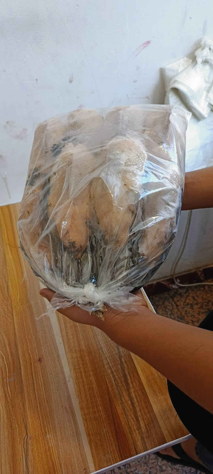 السلام عليكم طيور حره حذاف خشن مال دوشه وبربش خشن مال دوشه وتاز مال اليوم 
حذاف سعر الزوج 13الف بربش 30 الف 
يوجد توصيل كافت المحافضه 
*********** عمارة, ميسان
