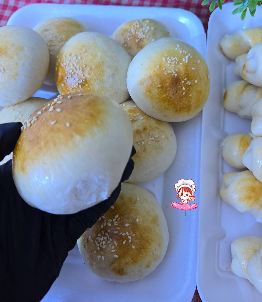 معجنات • ساره احمد