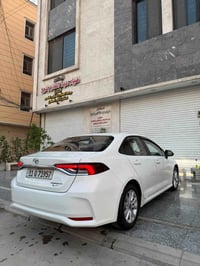 كورلا هايبرد • ٢٠٢٥ • شكل خليجي