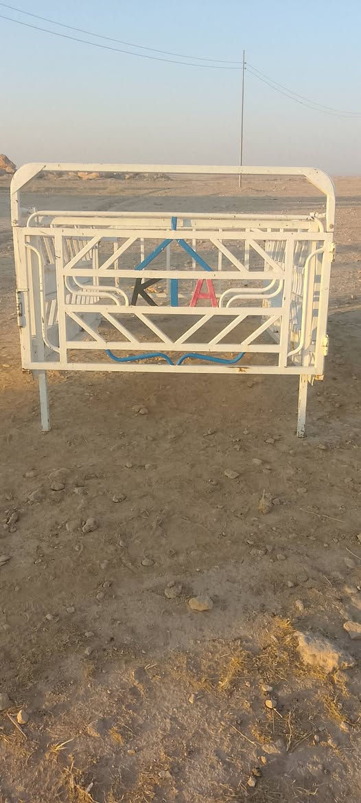 سلام عليكم اخوان محجل للبيع 350 وبي مجال المكان عانه
***********
