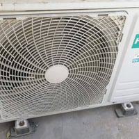 للبيع او مراوس بطنين او اكثر ضمان ٥ ايام مستخدم موسم واحد فقط  مكان بغ...