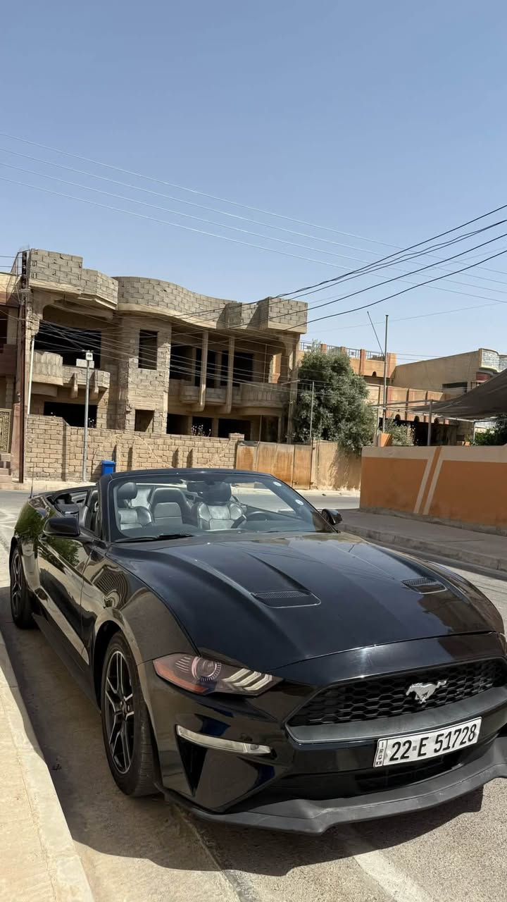 للبيع موستانك 2019 كشف فووول
رقم اربيل 

سنويه جديدة

 وهزة جديدة ٢٠٢٧ 

وبيها كوبون حكومي للبانزين 

والسيارة باسمي وتحويل مباشر

حادث فقط جاملغ خلفي وشبر باب صور حادث منزلها +  شبر تعديل بارد فوك الايت وصباعتين راس جاملغ

1fatp8uh9k5104778

ماشيه ٤٦ الف مايل

محرك اربعة سلندر ايكو بوست

كير محرك شرط وضع شركة

نظيفة جدا السياره وبالواقع احلى من الصور

السعر:160 ورقة وبيها مجال

رقم التواصل ***********

السيارة فوووول مواصفات .. شاشة جبيرة … كشنات جلد .. كشنات هيتر .. كشنات تبريد .. كشنات كهرباء .. داخل V الوان .. لايتات فول زينون وليدات وبك لايتات ليد .. بصمة تشغيل بصمة ابواب تشغيل عن بعد

السيارة تايرات وصدرها وكلشي بيها جديد وبدون مصرف

