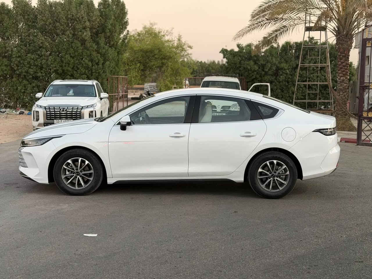 بي واي دي دستروير  للبيع او الامراوس 
بيوايدي BUD دسترويل 2025 فول مواصفات عدا الفتحة 
السيارة بصمة+ كارت
مكفوله كفاله عامه ع وضع الشركه عدا رصعة صغيرة بالبنيد 

ماشيه 16 الف  بوضع الزيرو مفروشة ارضيات حوضية جلد أولى وكذلك الجنة مفروشة جلد شاشة قلاب الحجم الكبير 

رقم بغداد انكليزي بأسمي شخصياً 

هزه وفحص كله جديد

السونار موجود مع الصور 

السعر 20 مليون مع المجال

مكانها كربلاء للاستفسار الاتصال ***********

