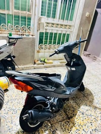 ماكس عدلة • نجمه اصلي • معدل