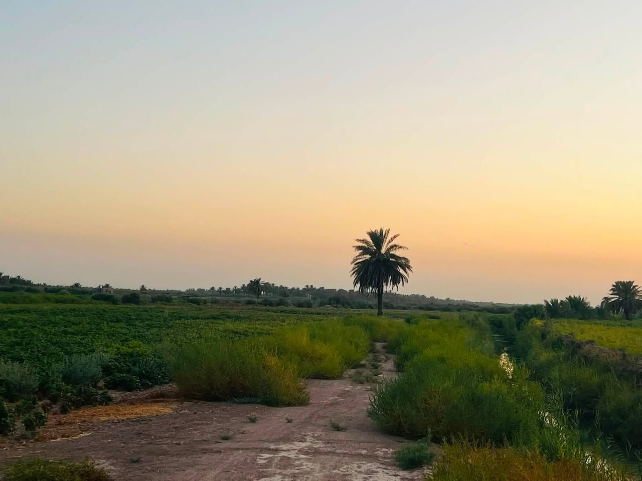 سلام عليكم
ارض للبيع مساحه 24دونم زراعي مع بيتين متفور ماء وكهربا ومدرسه قريبه مكانه شوملي البراكيه قرب السريع الجديد  الاستفسار اتصال ***********    ***********

