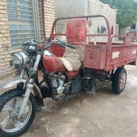 ستوته • موديل ١٤ • أوراق أصولي