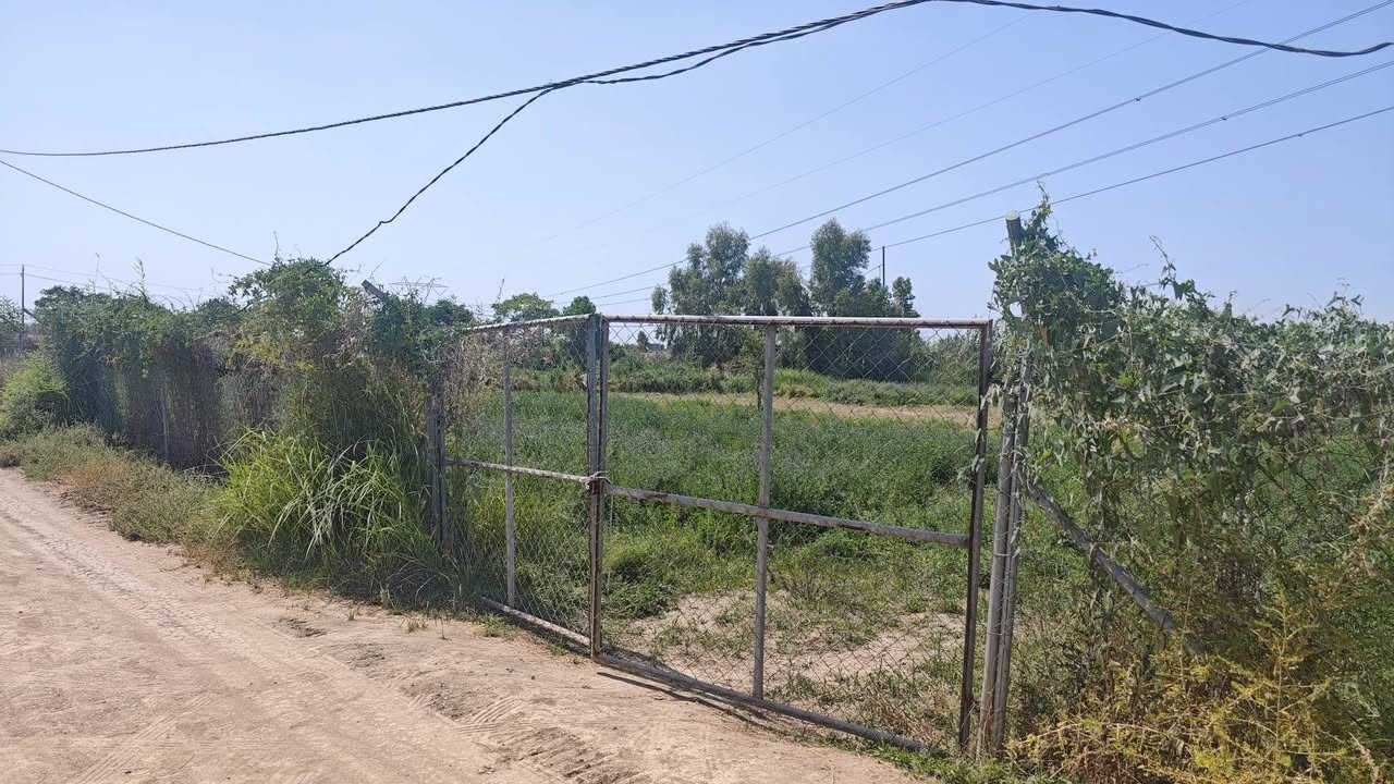 ​📍 أرض زراعية للبيع — موقع مميز في بغداد (الرضوانية الشرقية)
فرصة ممتازة للاستثمار أو الشراء الشخصي بالقرب من الخدمات 

​المواصفات والتفاصيل:

​📐 المساحة: دونم واحد (2,500 متر مربع).

​📍 الموقع: بغداد — الرضوانية الشرقية (تبعد 8 دقائق فقط بالسيارة عن جسر معمل زينب). 

​📜 السند والملكية: عقد زراعي قانون 25 (حق تصرف مفوضة بالطابو).

​⚡ الكهرباء: متوفرة وواصلة للموقع.

​💧 المياه: متوفر ماء إسالة (شبكة ماء شرب).

​🌊 الري والصرف: مجاورة لماء البزل مباشرة (تسهل عمليات الري).

​المميزات:

​موقع قريب جداً وسهل الوصول إليه بالقرب من جسر معمل زينب.

​أرض مخدومة بالكامل بالبنية التحتية الأساسية (كهرباء + ماء إسالة).

​صالحة لإنشاء مزرعة، بستان خاص، بيت استجمام، أو مشروع زراعي/حيواني واعد.

📞 للتواصل والاستفسار: على الخاص او على الرقم ***********
