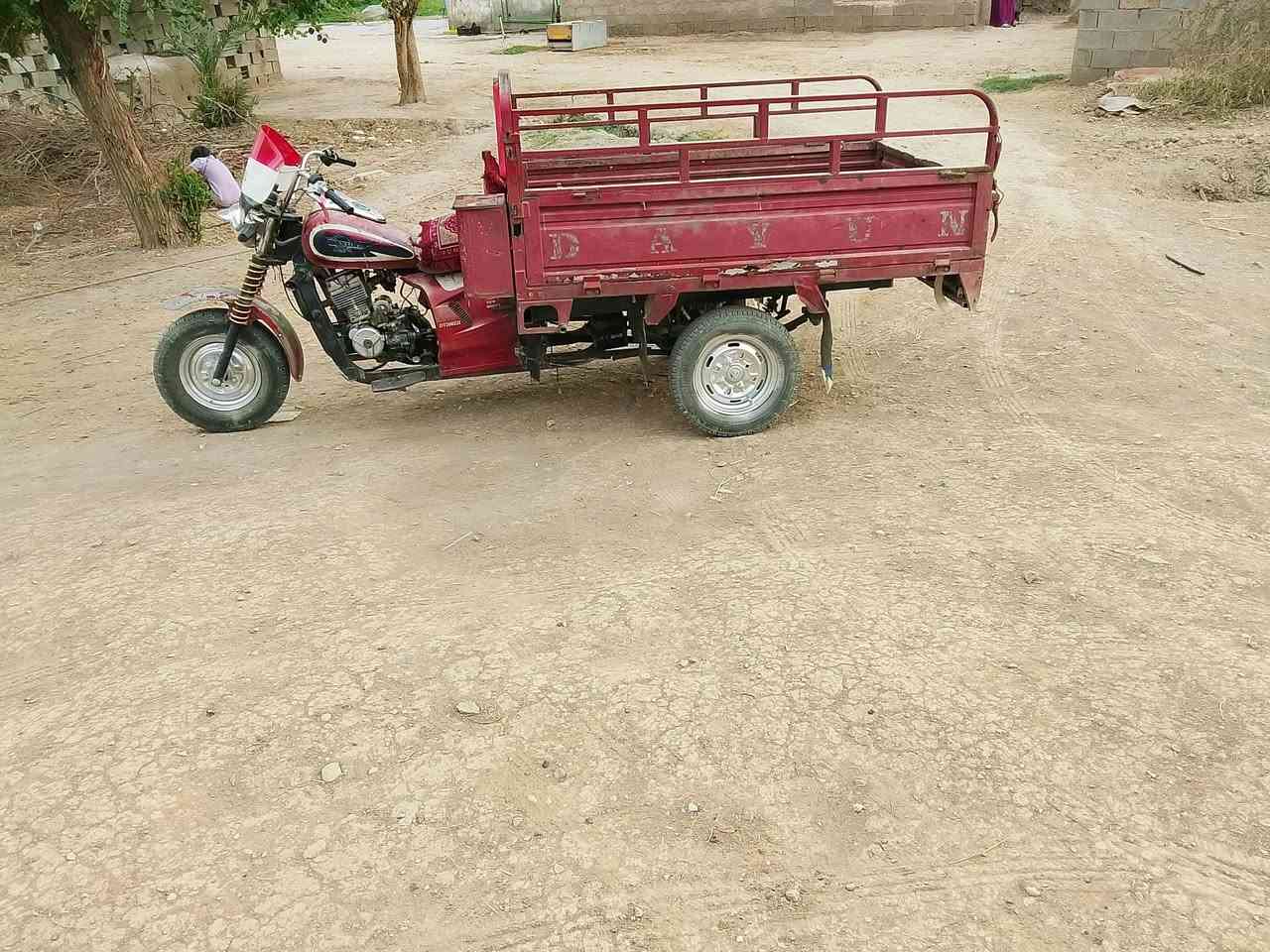 ستوته • ٢٠١٦ • اوراق مكفوله