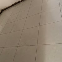 ارضيات • درجة أولى • متفرغ