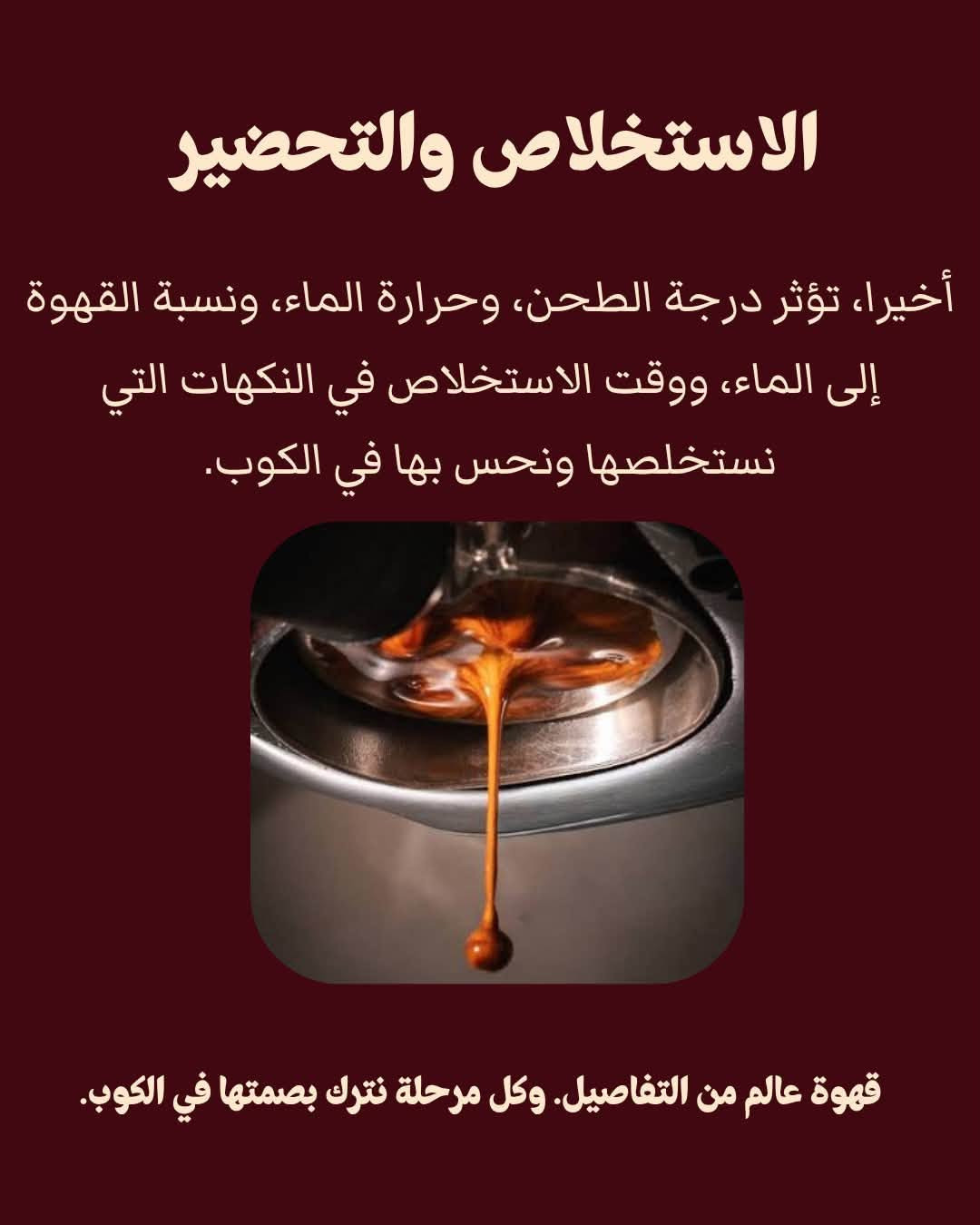 قهوة فاكهية • معالجة • التحميص