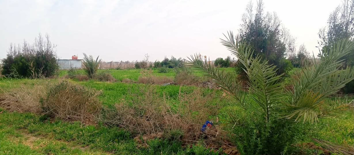 دونم للبيع قريب ؏ حولي مقابيل الخاجيه متوفر بي مي وكهرباءطابو سند 25 حق التصرف للستفسار اتصل ***********
