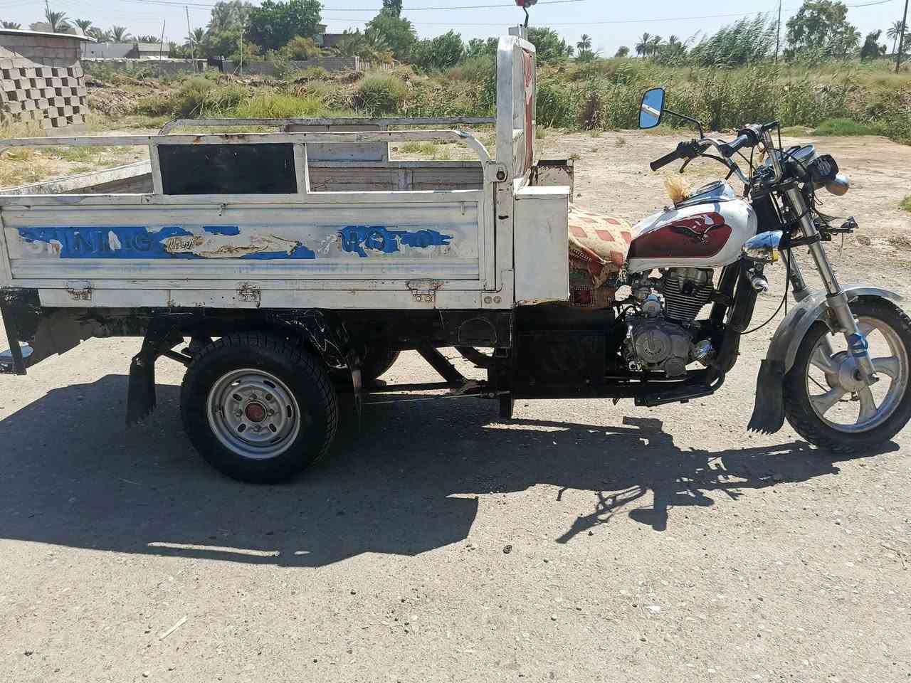 سلام عليكم ستوتة للبيع ام الطير السعر مليون وبيها مجال العنوان ديالى هاذ الرقم بي واتساب ***********
