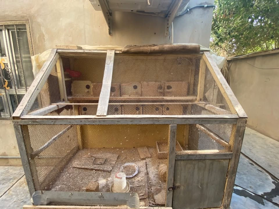 قفص للبيع 
طول ١٥٠ سم 
ارتفاع ١٣٠ سم 
نزال ٩٠ سم 
مكان هيت الاستفسار ع رقم ***********
