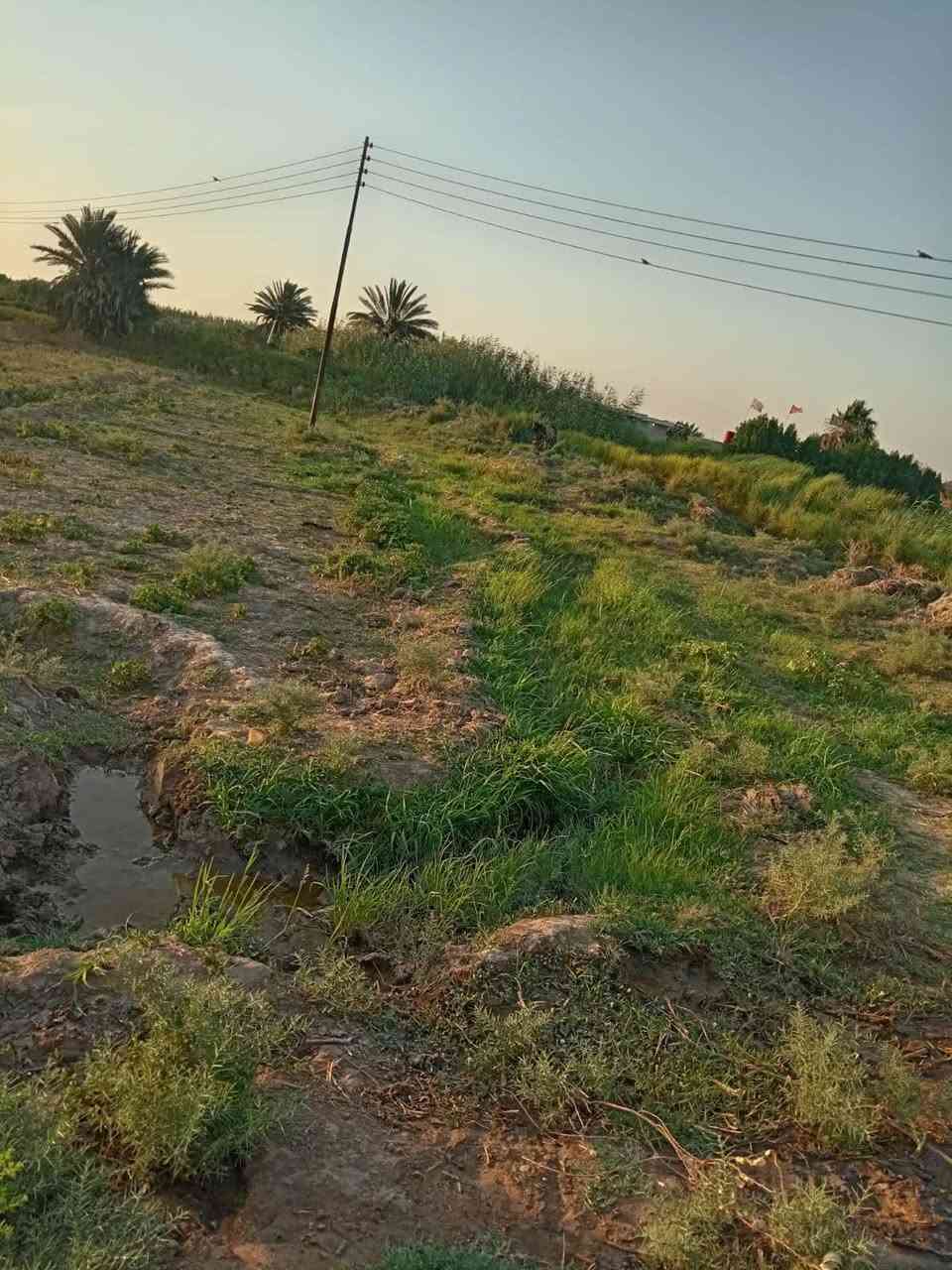 الكارضية • ٨ دونم • حصة مائية