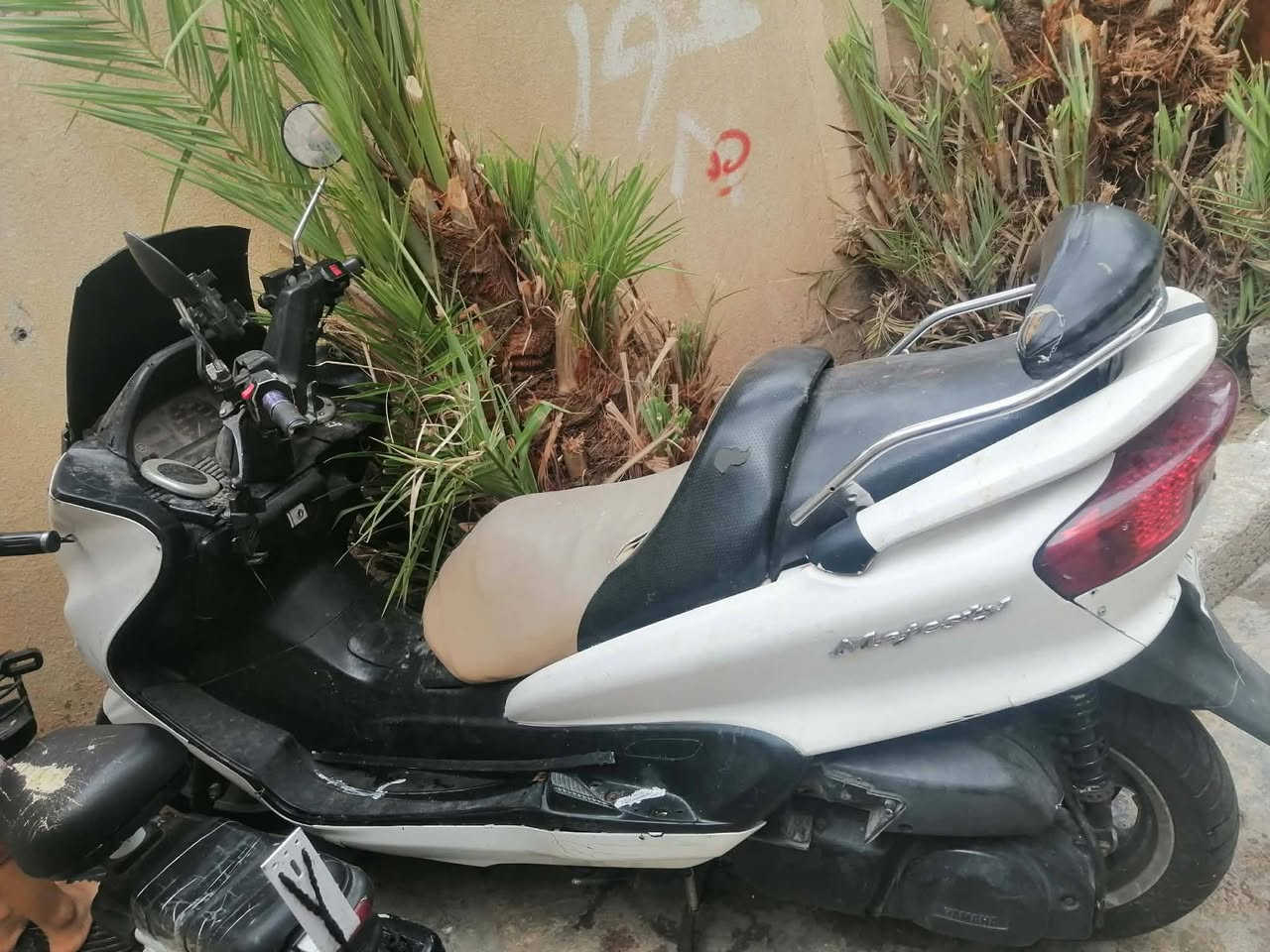 دراجه • للبيع • بي مجال